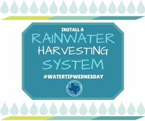 rainwater harvesting