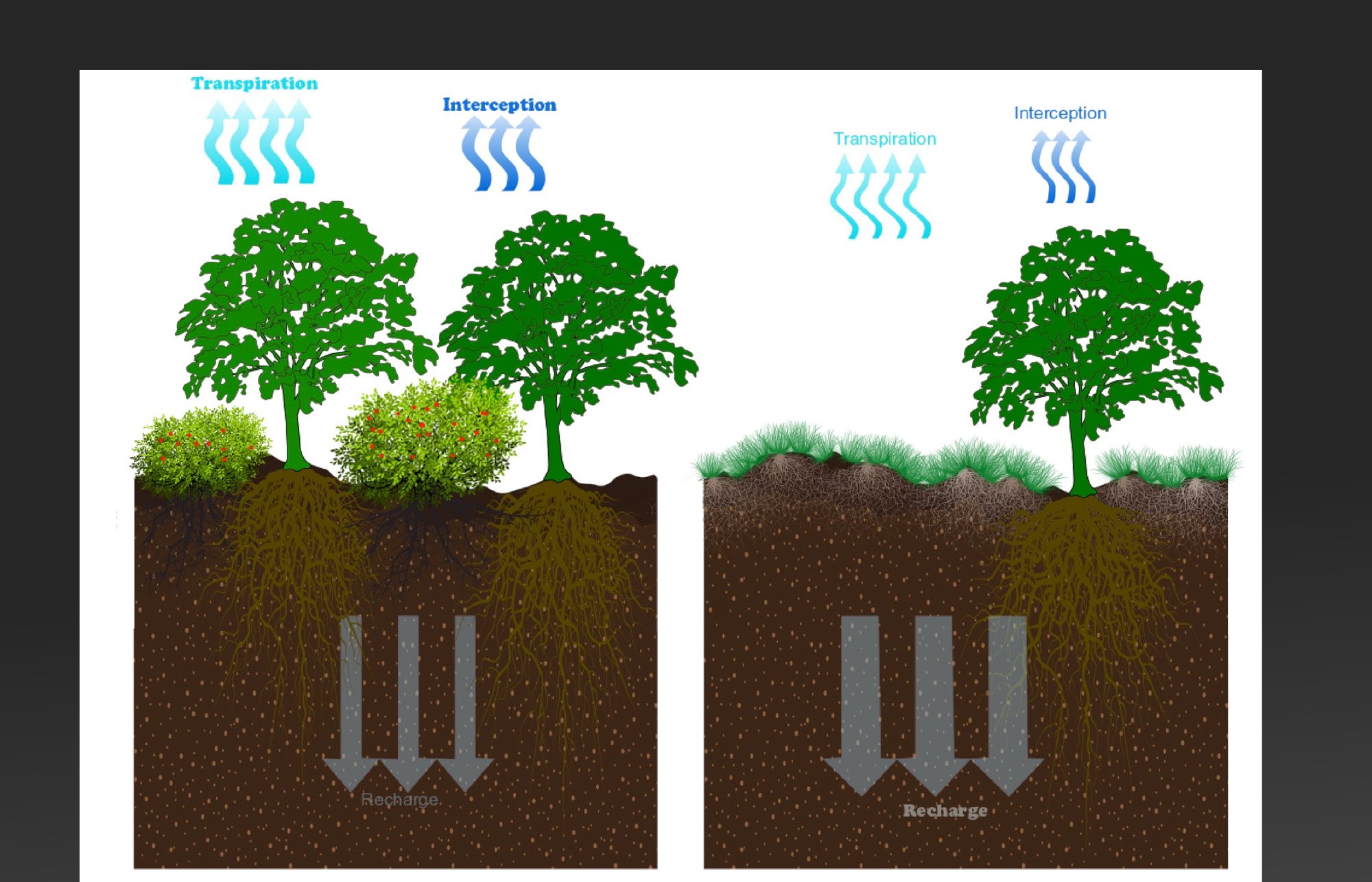 Aquifer Recharge