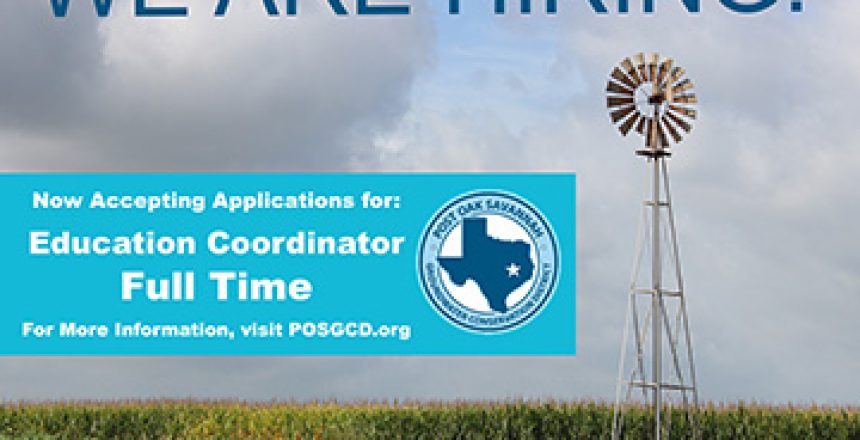 WE ARE HIRING Ed Coornidatorsm