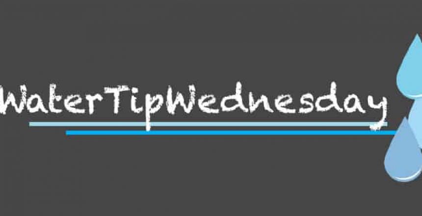 WTW Header2 Copy